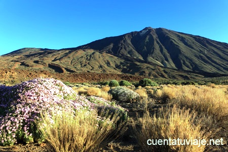 Parque Nacional del Teide. Tenerife.